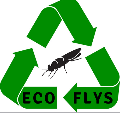 ecoflys.com logo