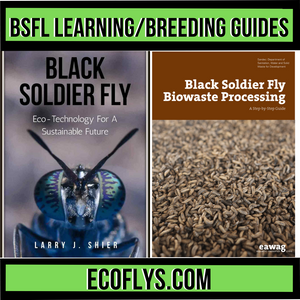 Black Soldier Fly Learning Guide