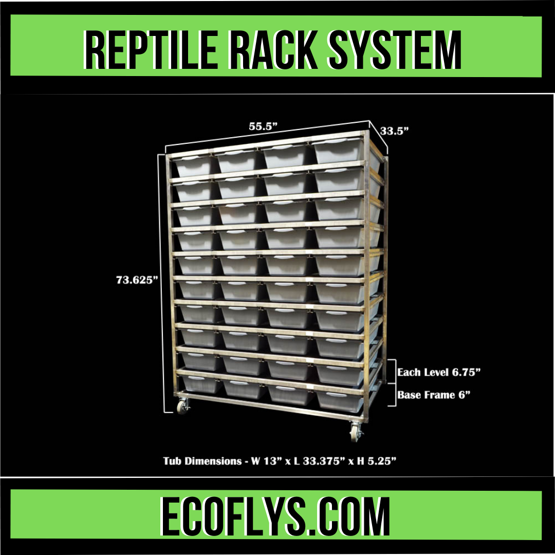 Reptile Rack Systems – ecoflys.com