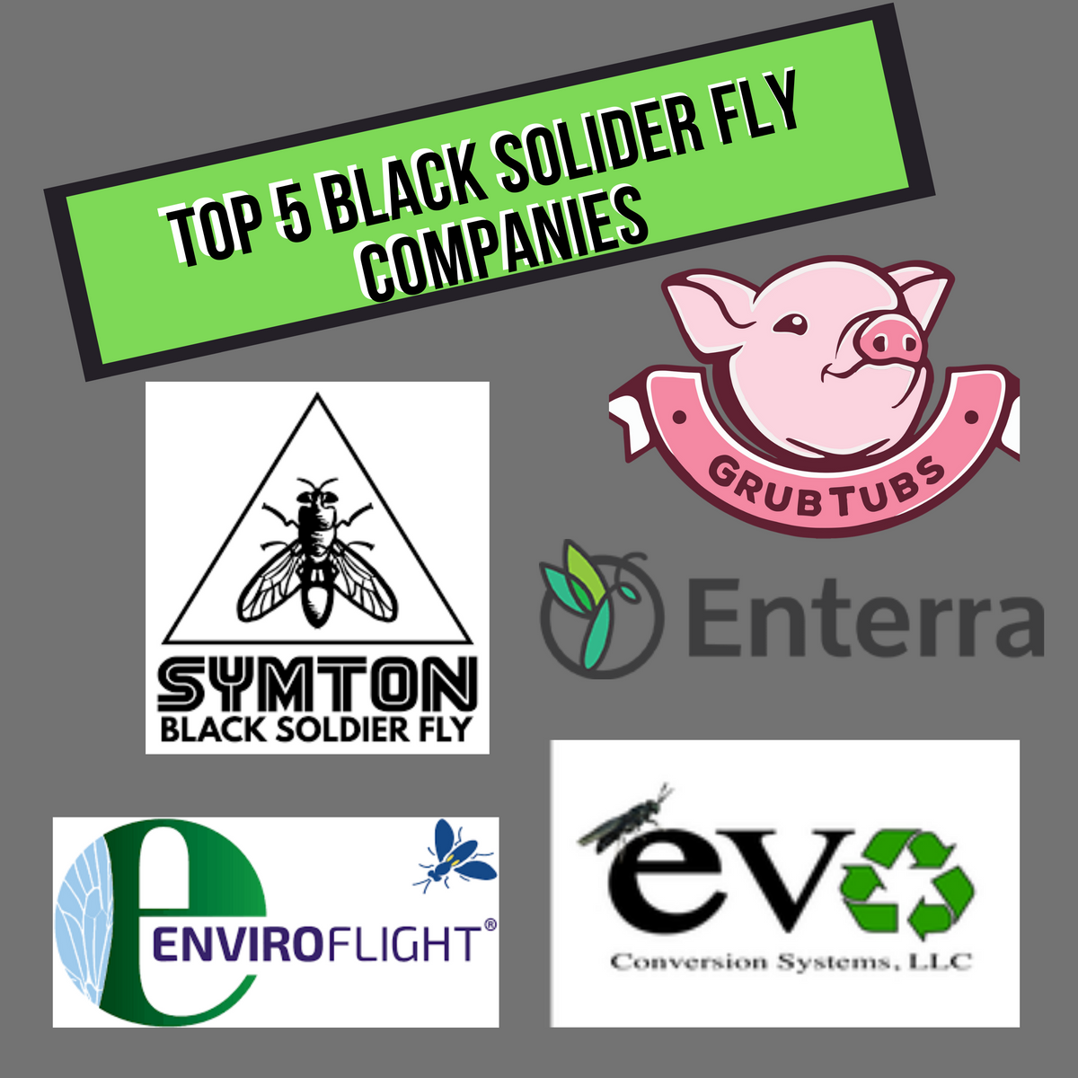 Top 5 Black Soldier Fly Companies – ecoflys.com