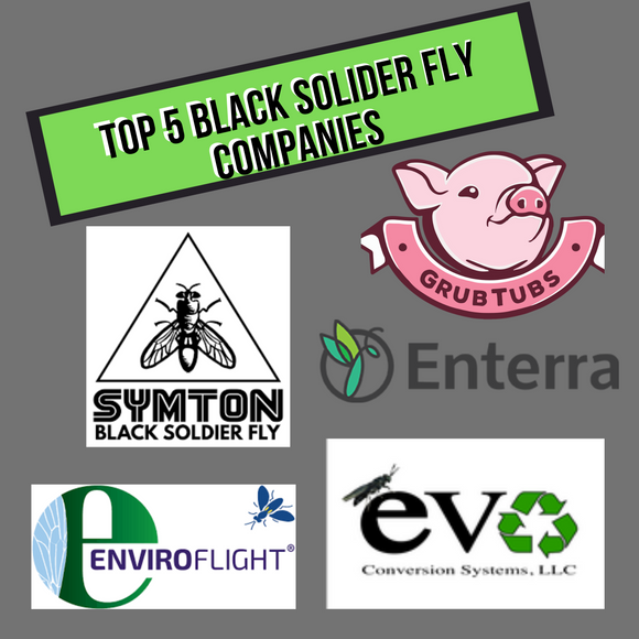 Top 5 Black Solider Fly Companies